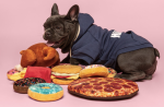 Fabdog 10" Pizza - Image 4
