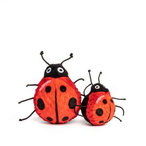 Ladybug Ball Toy