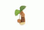 P.L.A.Y. Tropical Paradise Puppy Palm - Image 4