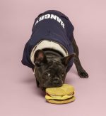Fabdog BigFab Cheeseburger - Image 5