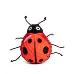 Ladybug toy