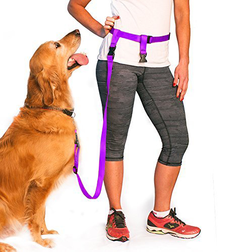 the buddy system leash